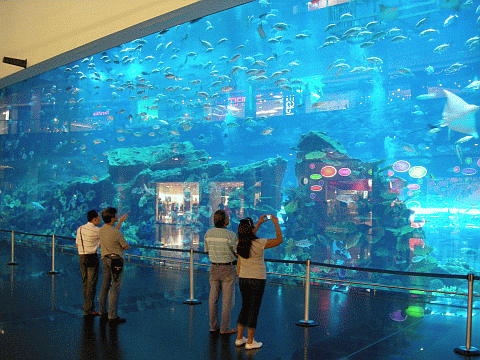dubai_aquarium_08.gif