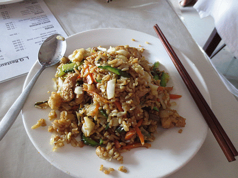 nadi chinese food 01.gif